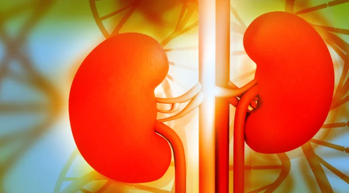 Pourquoi faut-il faire une scintigraphie rénale ?