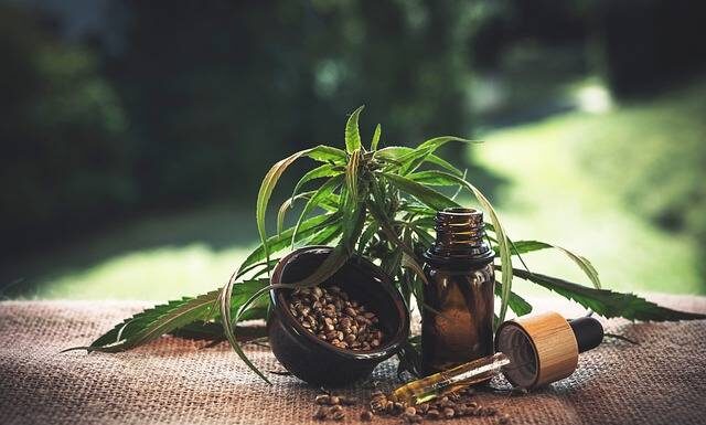 CBD : pourquoi le HHC est-il interdit en France ? Son remplaçant, le HCA